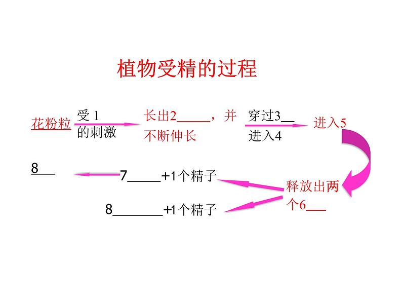 济南版 生物 八上 复习课件 重要图 空白检查第6页