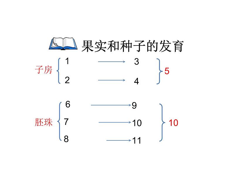 济南版 生物 八上 复习课件 重要图 空白检查第8页