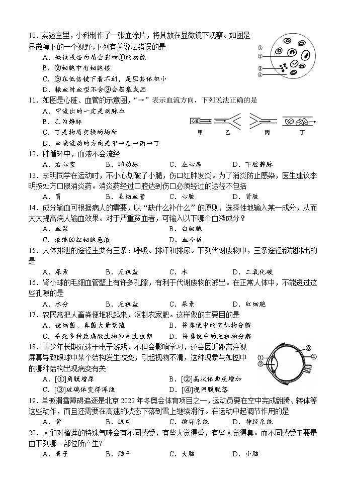 湖南省怀化市新晃县2021-2022学年七年级下学期期末质量检测生物试题（城区）(word版含答案)02