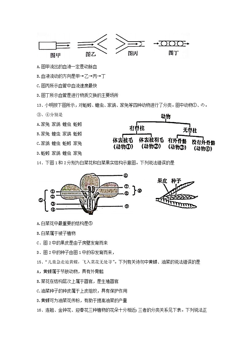 江苏省南通市如皋市2021—2022学年七年级下学期期末考试生物试卷(word版含答案)03