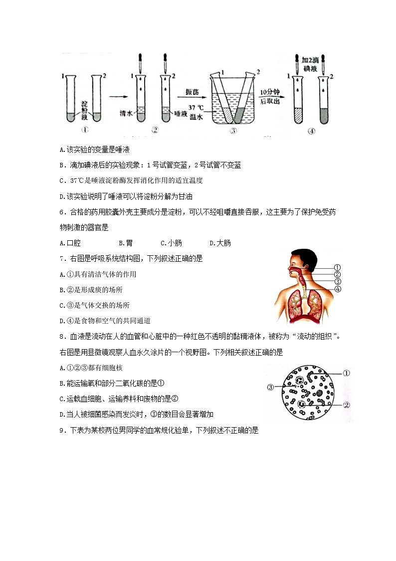 河南省信阳市息县2021-2022学年七年级下学期期末学业质量监测生物试题(word版含答案)第2页
