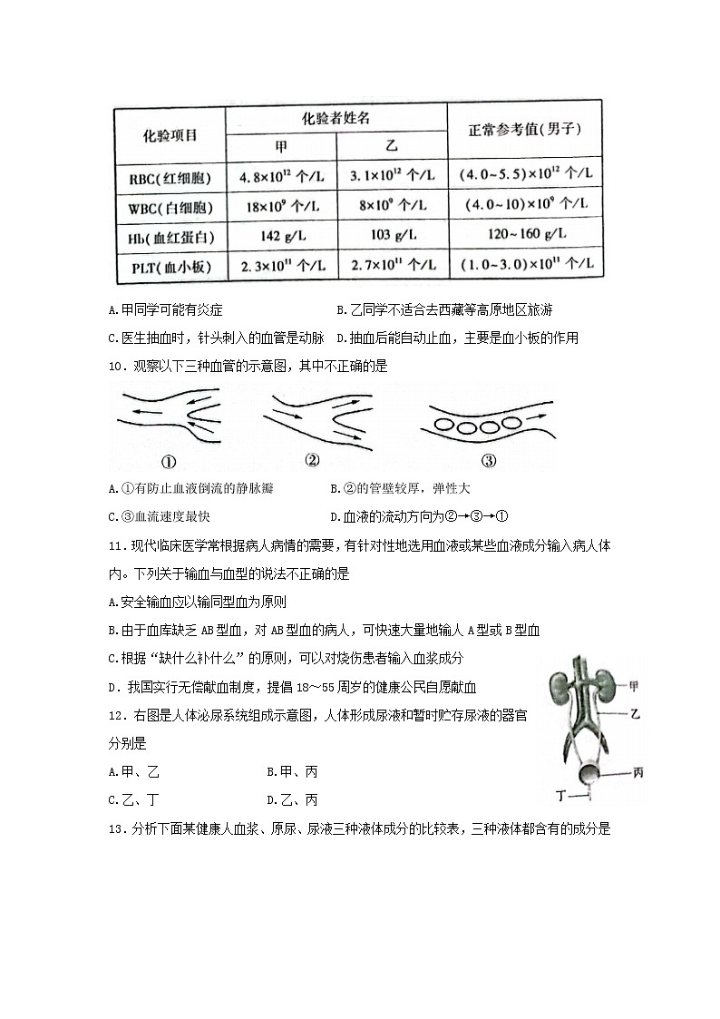 河南省信阳市息县2021-2022学年七年级下学期期末学业质量监测生物试题(word版含答案)第3页