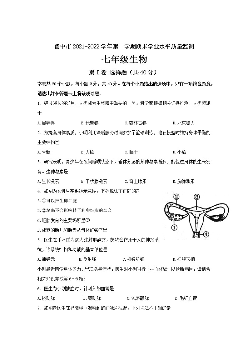 山西省晋中市2021-2022学年七年级下学期期末考生物试题(word版含答案)01