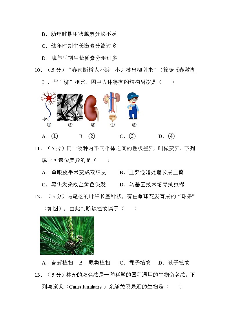 2022年江苏省泰州市中考生物试卷解析版03