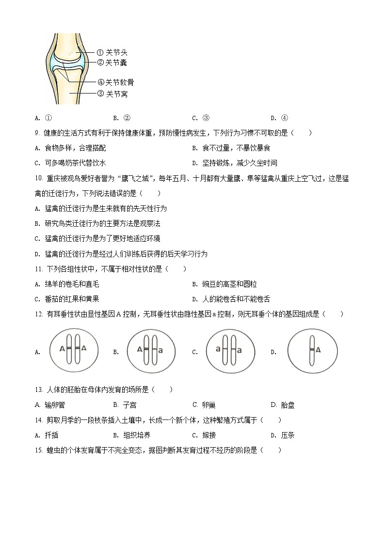 2022年重庆市中考生物真题（试卷）第2页