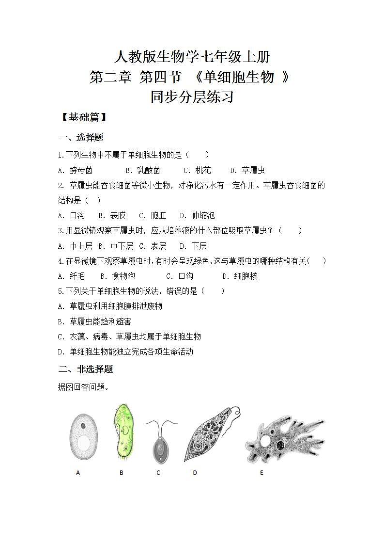 【核心素养目标】人教版 (新课标)初中生物七年级上册2.2.4《单细胞生物》课件+教案+同步分层练习（含答案）01