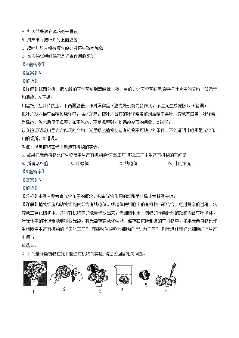 3.4《绿色植物是生物圈中有机物的制造者》（课件+教案+练习）02