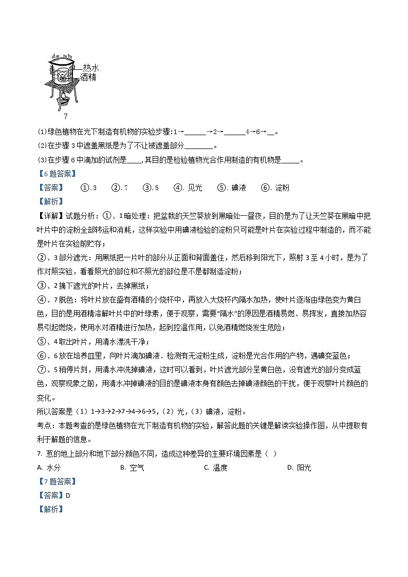 3.4《绿色植物是生物圈中有机物的制造者》（课件+教案+练习）03