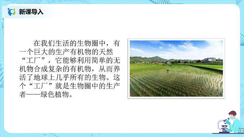 3.4《绿色植物是生物圈中有机物的制造者》（课件+教案+练习）03