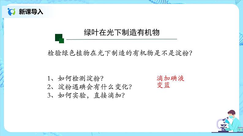 3.4《绿色植物是生物圈中有机物的制造者》（课件+教案+练习）05