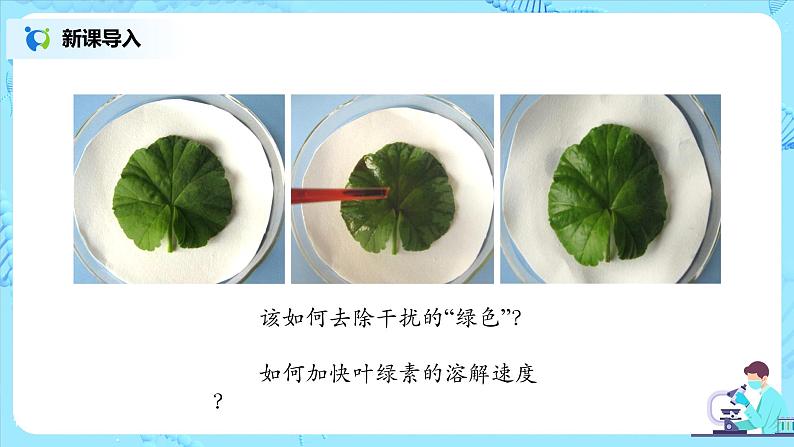 3.4《绿色植物是生物圈中有机物的制造者》（课件+教案+练习）06