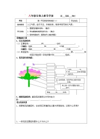 济南版生物学 八年级上册 导学案