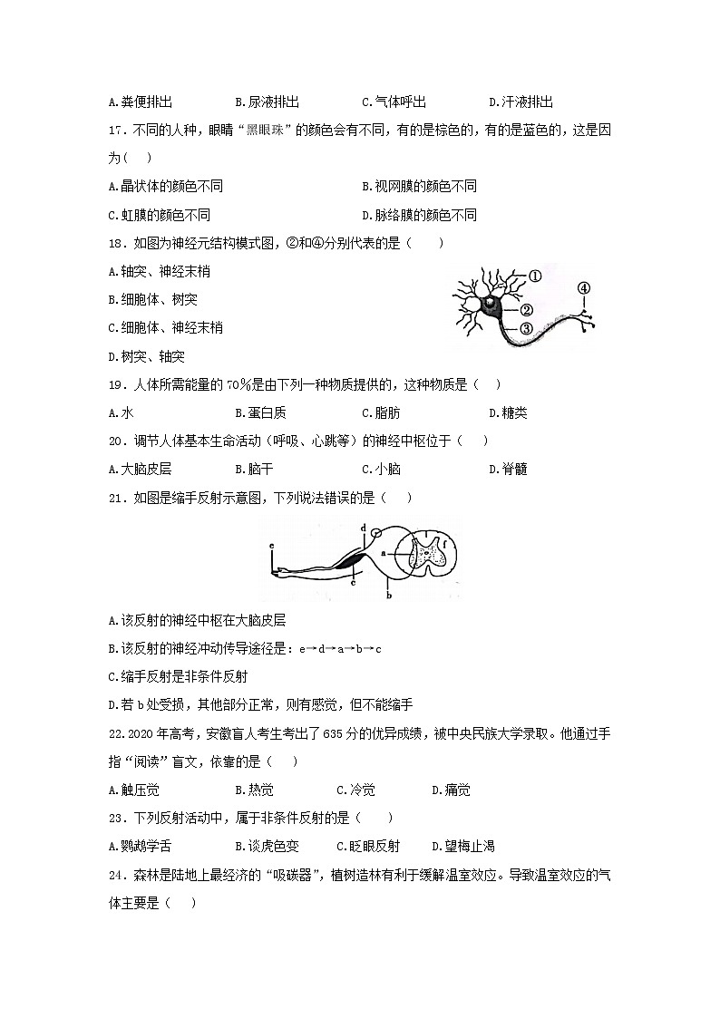 安徽省合肥市瑶海区2021-2022学年七年级下学期期末考试生物试题(word版含答案)03