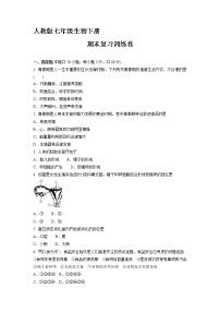 甘肃省武威市第十中学2021-2022学年七年级下学期期末复习生物训练卷(word版含答案)