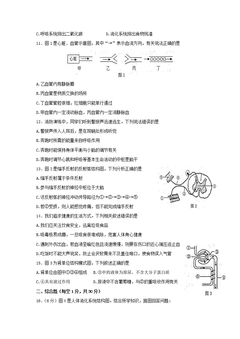 广西防城港市2021-2022学年七年级下学期期末教学质量检测生物试题(word版含答案)02