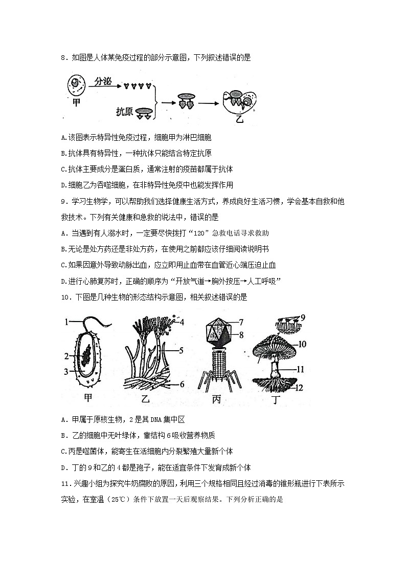 山东省泰安市肥城市2021-2022学年七年级下学期期末考试生物试题(word版含答案)第3页