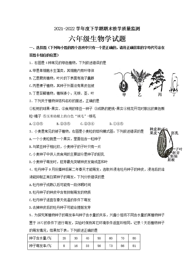 山东省泰安市肥城市2021-2022学年六年级（五四制）下学期期末考试生物试题(word版含答案)第1页