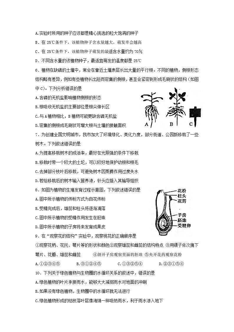 山东省泰安市肥城市2021-2022学年六年级（五四制）下学期期末考试生物试题(word版含答案)第2页