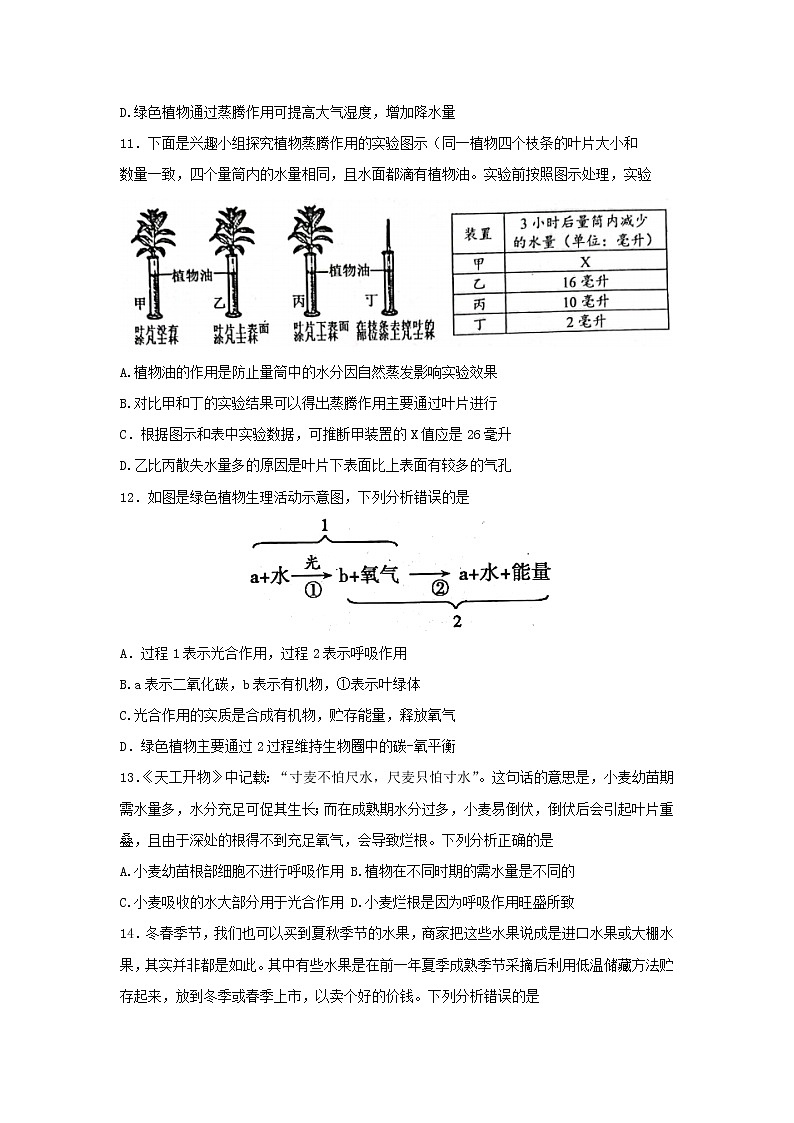 山东省泰安市肥城市2021-2022学年六年级（五四制）下学期期末考试生物试题(word版含答案)第3页
