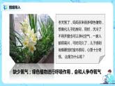 3.5.2《绿色植物的呼吸作用》（课件+教案+练习）