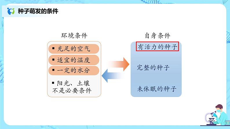 3.5.2《绿色植物的呼吸作用》（课件+教案+练习）04