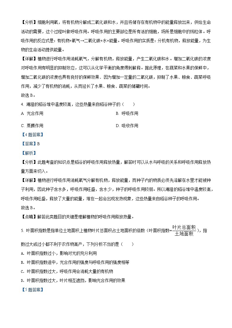3.5.2《绿色植物的呼吸作用》（课件+教案+练习）02