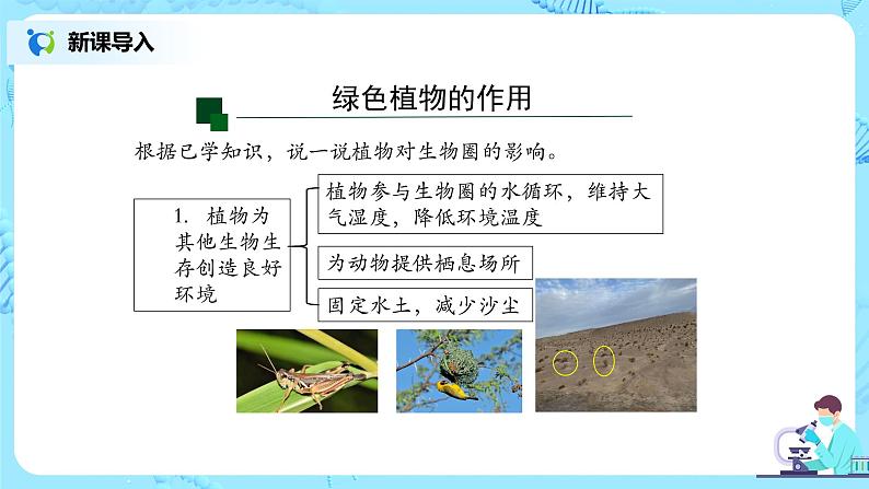 3.6《爱护植被，绿化祖国》-课件第6页