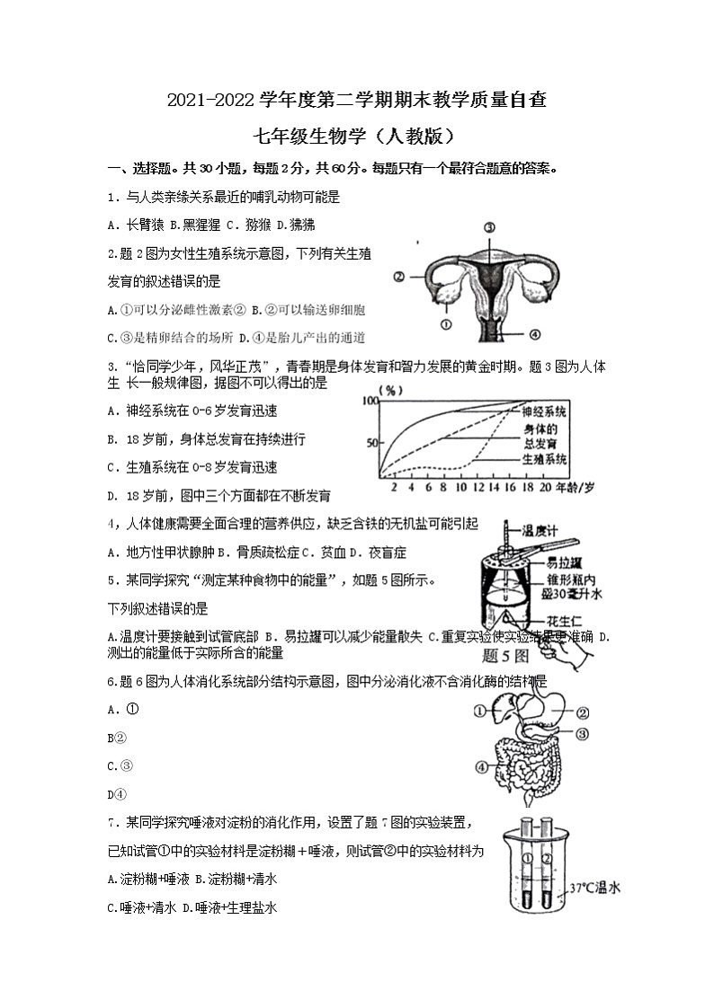 广东省东莞市2021-2022学年七年级下学期期末教学质量自查生物试题（无答案）第1页