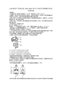 山东省济宁市梁山县2021-2022学年七年级下学期期末考试生物试卷（无答案）