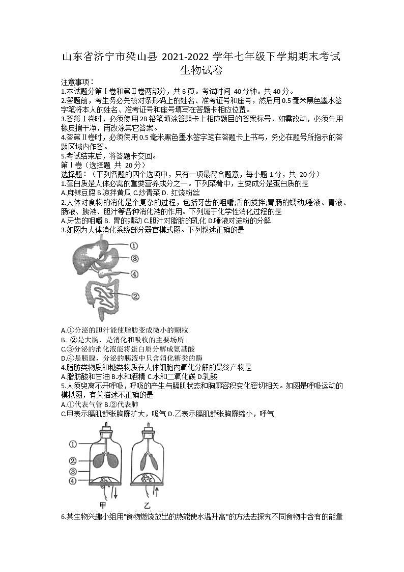 山东省济宁市梁山县2021-2022学年七年级下学期期末考试生物试卷（无答案）第1页
