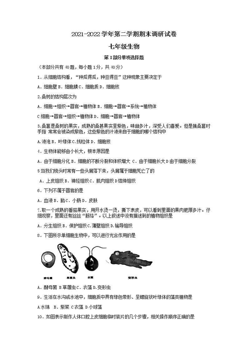 江苏省苏州市相城区2021-2022学年七年级下学期期末调研生物试题（无答案）第1页