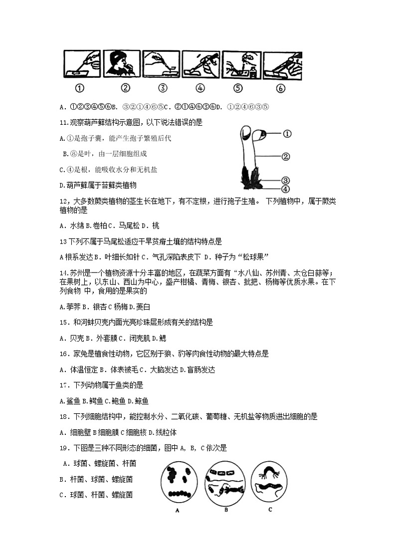 江苏省苏州市相城区2021-2022学年七年级下学期期末调研生物试题（无答案）第2页