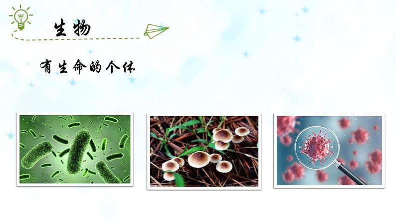 《生物的特征》课件03