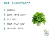 初中生物七年级上册1.1.1《生物的特征 》教学课件