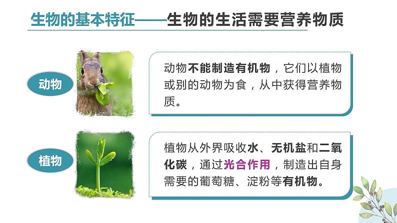 初中生物七年级上册1.1.1《生物的特征 》教学课件07