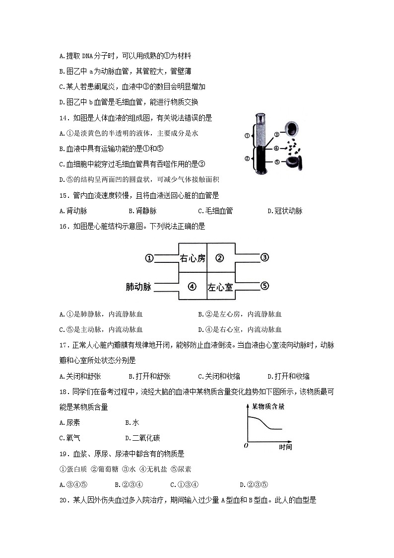 广东省潮安区2021-2022学年七年级下学期期末质量检测生物试题(word版含答案)第3页