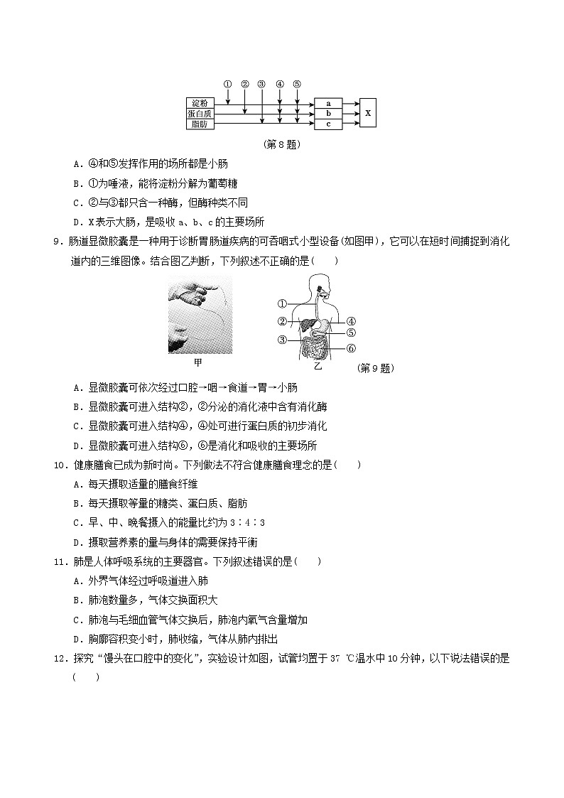 人教版七年级生物下册期中达标测试卷含答案第2页
