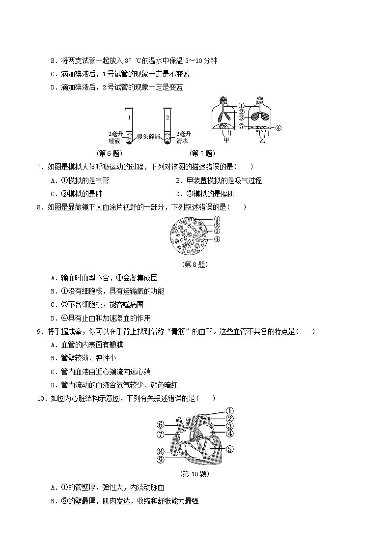 人教版七年级生物下册期末达标测试卷含答案第2页