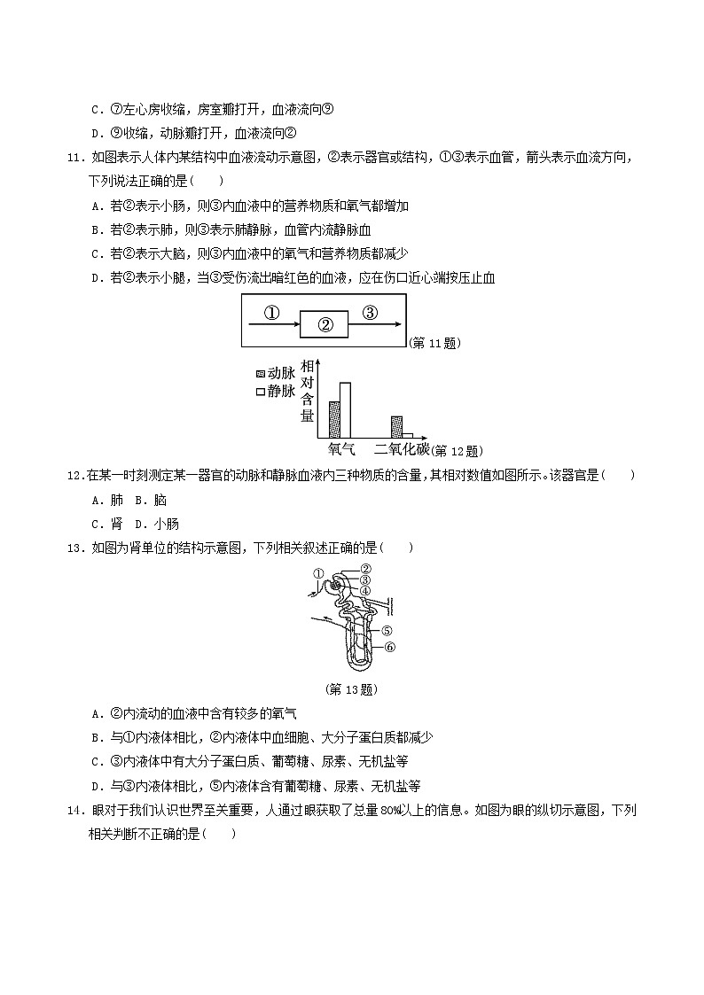 人教版七年级生物下册期末达标测试卷含答案第3页