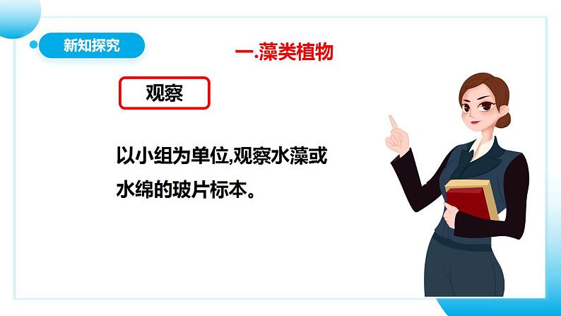 【核心素养目标】人教版 (新课标)初中生物七年级上册3.1.1《藻类、苔藓和蕨类植物》课件+教案+同步分层练习（含答案）07