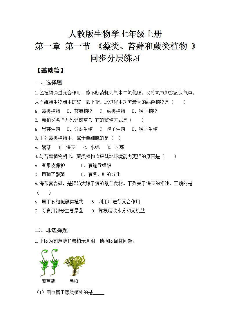 【核心素养目标】人教版 (新课标)初中生物七年级上册3.1.1《藻类、苔藓和蕨类植物》课件+教案+同步分层练习（含答案）01