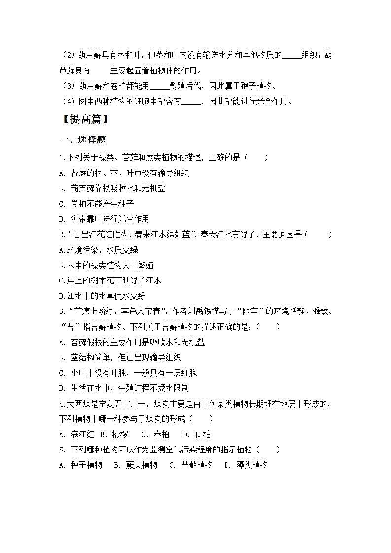 【核心素养目标】人教版 (新课标)初中生物七年级上册3.1.1《藻类、苔藓和蕨类植物》课件+教案+同步分层练习（含答案）02