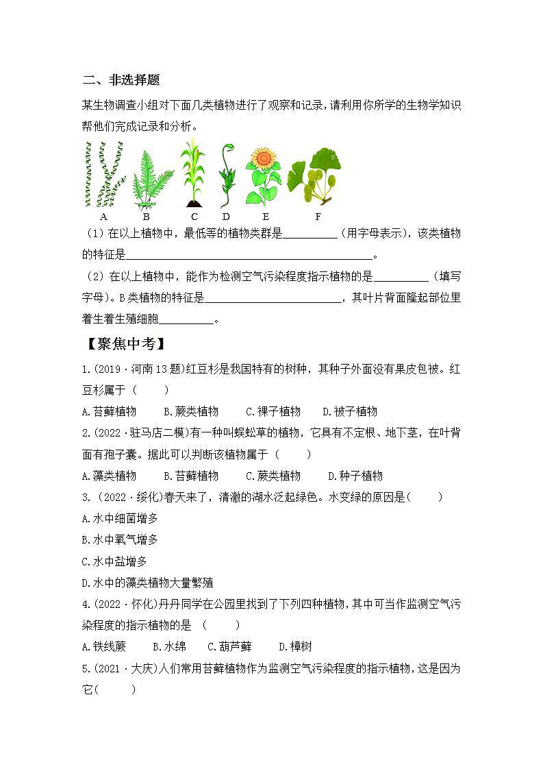 【核心素养目标】人教版 (新课标)初中生物七年级上册3.1.1《藻类、苔藓和蕨类植物》课件+教案+同步分层练习（含答案）03