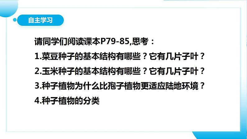 【核心素养目标】人教版 (新课标)初中生物七年级上册3.1.2《种子植物》课件+教案+同步分层练习（含答案）05