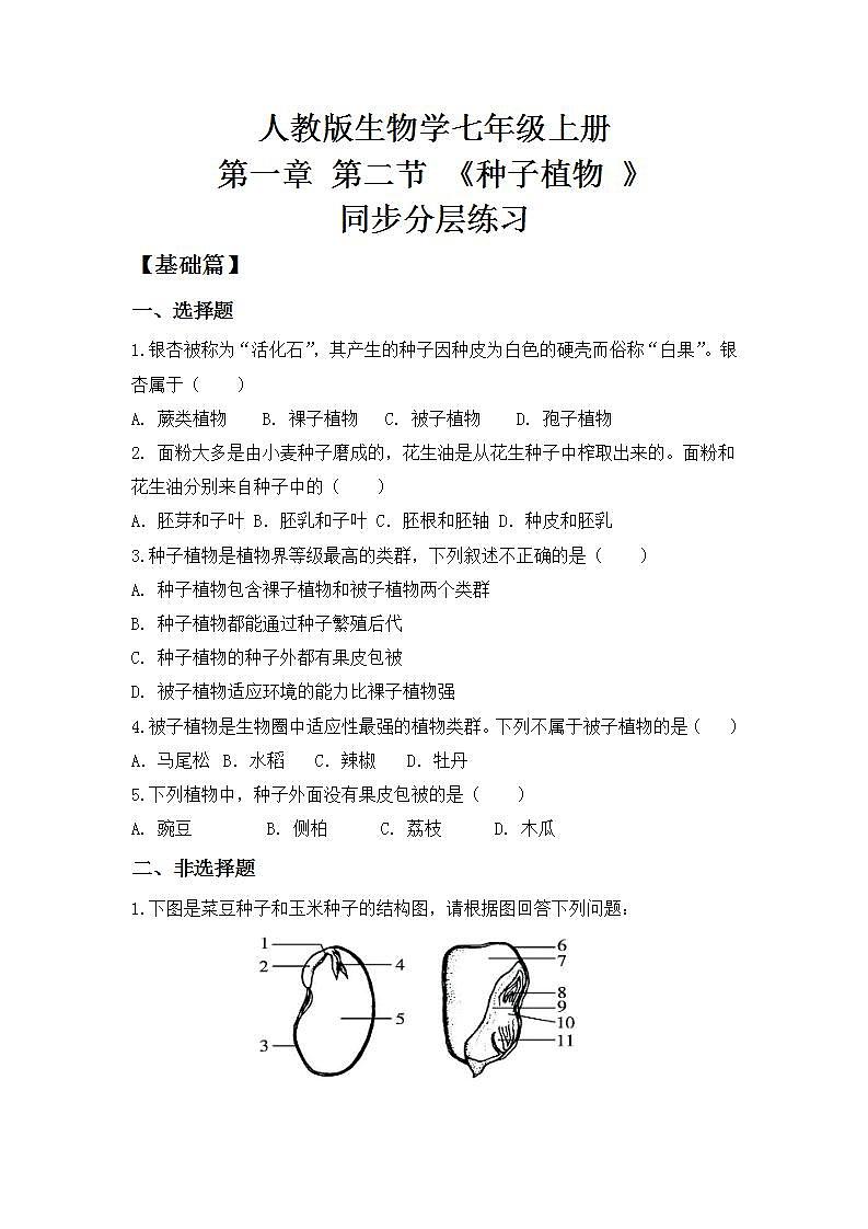 人教版初中生物七年级上册3.1.2《种子植物》同步分层练习（含答案）第1页