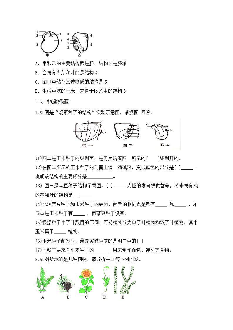 人教版初中生物七年级上册3.1.2《种子植物》同步分层练习（含答案）第3页