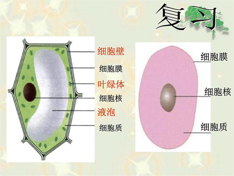 《细胞的生活》教学课件第1页