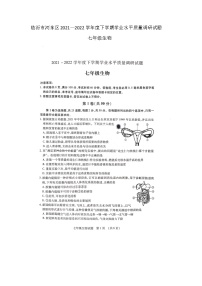 山东省临沂市河东区2021—2022学年七年级下学期期末学业水平质量调研生物试题（无答案）