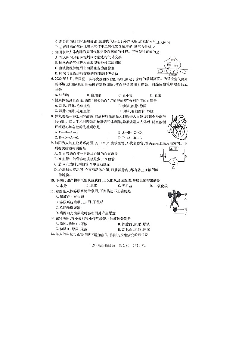山东省临沂市河东区2021—2022学年七年级下学期期末学业水平质量调研生物试题（无答案）02