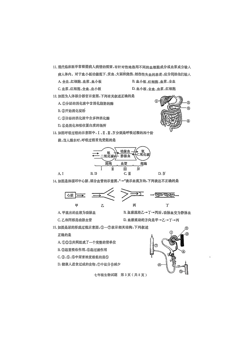 山东省聊城市冠县2021-2022学年七年级下学期期末学业水平检测试生物试题（无答案）03